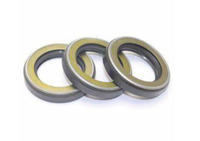 TCN Oil Seal