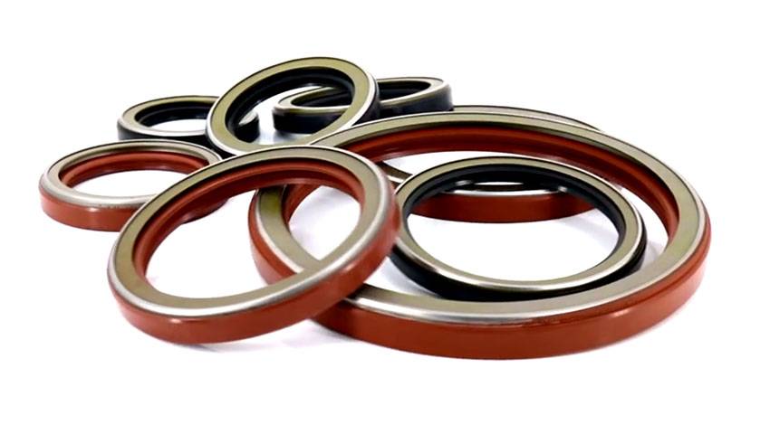 TCN Oil Seal-Product Exhibition