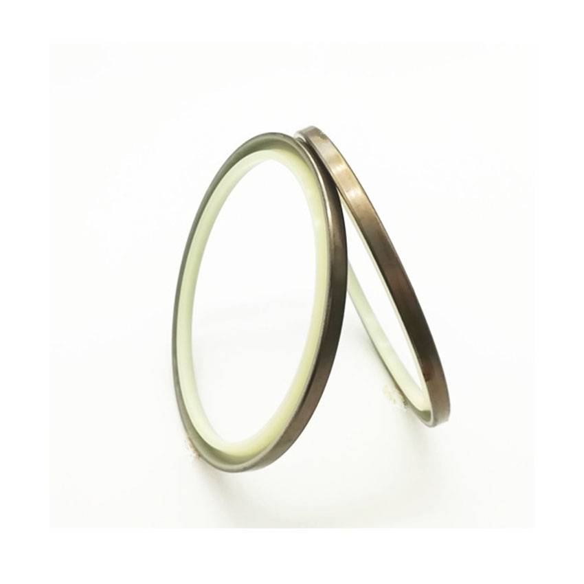 Wiper Dust Seal-Products Show