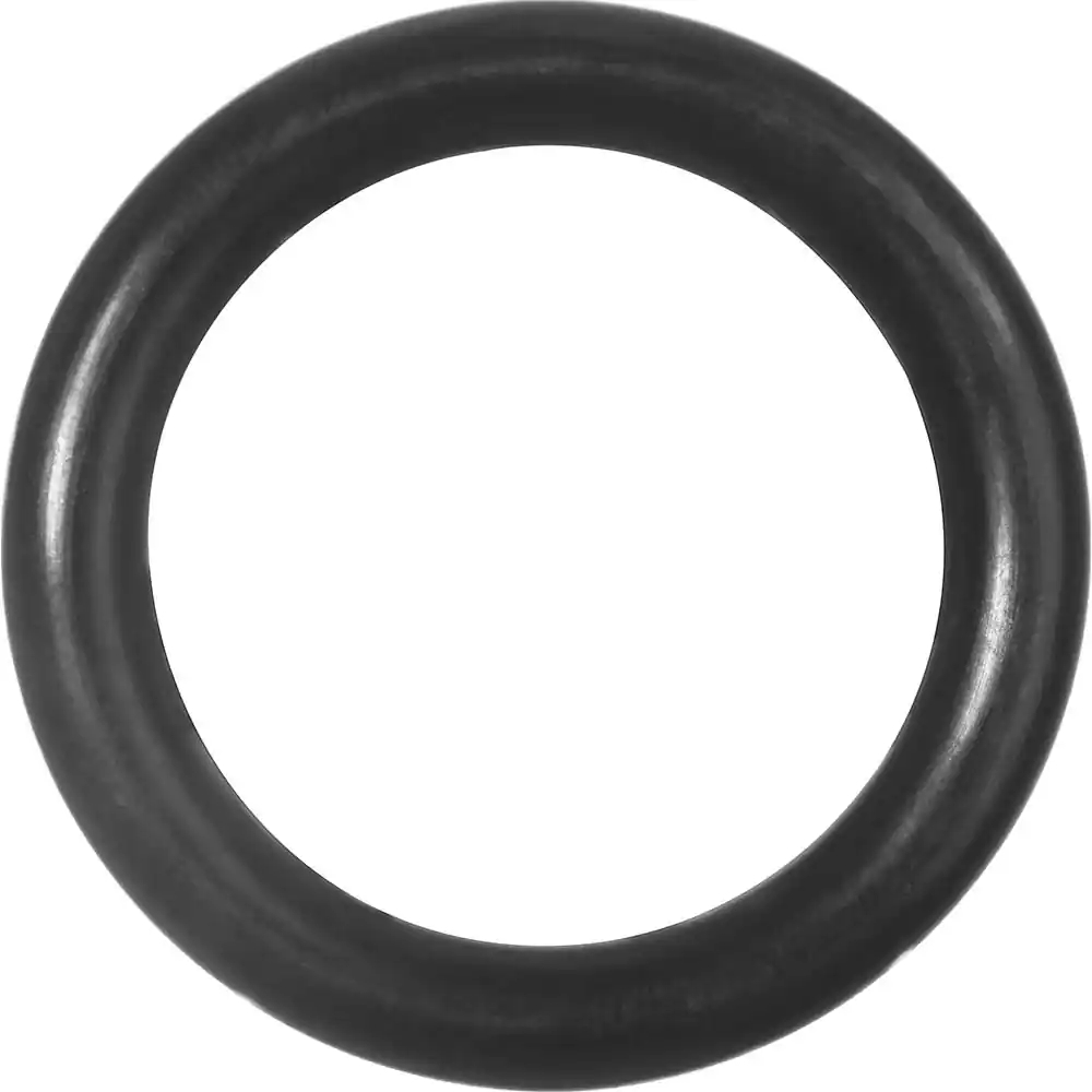 Neoprene o ring
