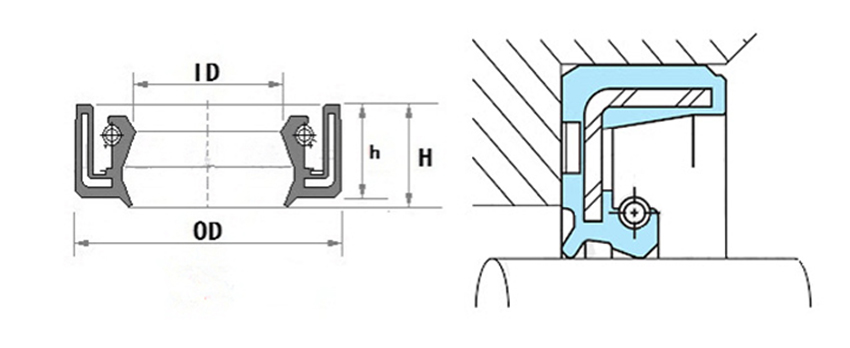 TCV Oil Seal-Product Details