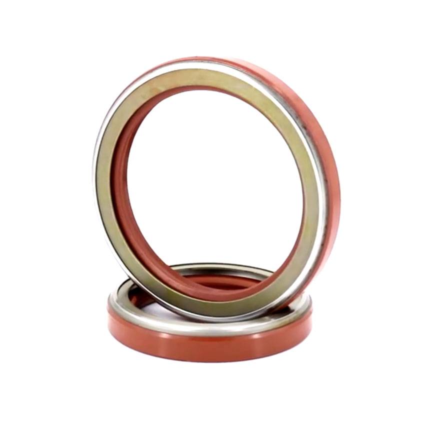 TCN Oil Seal-Product Exhibition